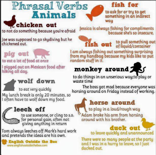 Animal Phrasal Verbs â Tim's Free English Lesson Plans